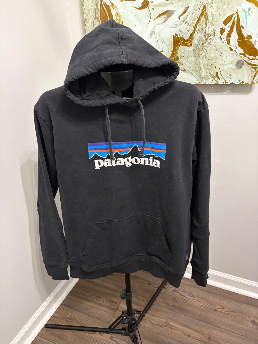 Patagonia Black Hoodie with Blue & Purple Logo